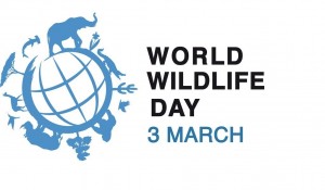 Wildlife-Day-1-1-1024x600